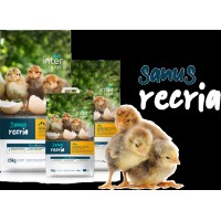 Dist. de Alimentos p/ t/ tipo de Animais | Sanus Aves, Recria | Saco de 5 / 10 / 25 kg  (SANUS  A 105) Pitos em Crescimento desde ó 1º ao 21º Dia.